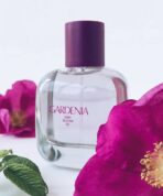 عطر كاردينيا سمارت زارا Zara نسائي 100 مل