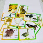 ⁦مجموعة بطاقات الحيوانات التعليمية للاطفال 17 كرت مقوى عربي انجليزي فرنسي⁩ - الصورة ⁦5⁩