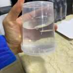 ⁦علب بلاستيك درجة أولى متعددة الاستعمالات اغلاق محكم وحفظ من الهواء⁩ - الصورة ⁦2⁩