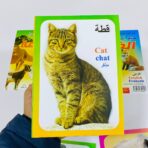 ⁦مجموعة بطاقات الحيوانات التعليمية للاطفال 17 كرت مقوى عربي انجليزي فرنسي⁩ - الصورة ⁦6⁩