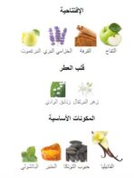 ⁦عطر 9pm رجالي من افنان 100 مل⁩ - الصورة ⁦2⁩