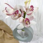 ⁦قالب سيلكون دائري مزهرية لصنع ديكورات المنزل بالجبس بدون زجاجة WFHM77⁩ - الصورة ⁦2⁩