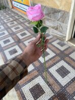 ⁦وردة صناعي جوري لون وردي حجم كبير طول  50 سم لصنع باقات والاهداء في الهدايا⁩ - الصورة ⁦4⁩