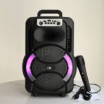 مكبر صوت بلوتوت مع ميكروفون صوت صافي وواضح بقوة 20وات